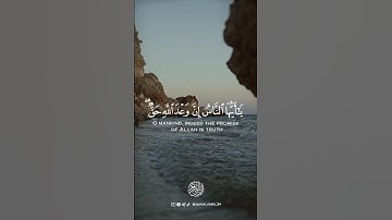 سورة فاطر - الآية [5] - القارئ : أحمد النفيس