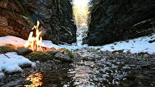 Sunset Campfire on a Peaceful Riverbank 🏕️ Fire, Water & Forest ASMR for Study & Focus 4K ASMR