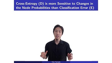 3.2) Why Minimize the Cross-Entropy instead of the Classification Error?