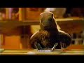 Milka marmottes et la marmotte elle met le chocolat dans le papier dalu mais bien sr pub 1998