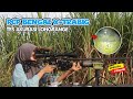 PCP BENGAL X TRABIG NBL 18 SENAPAN PCP BIG GAME MURAH & BERKUALITAS | PROMO SENAPAN PCP TERBARU 2025