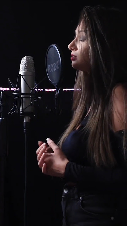 Blink 182 - One More Time (Heina Cover)