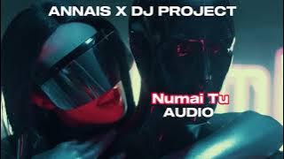 ANNAIS ✗ DJ Project - Numai Tu *AUDIO*