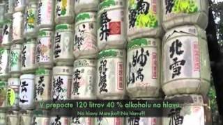Japonsko -  cast prva - TOKYO