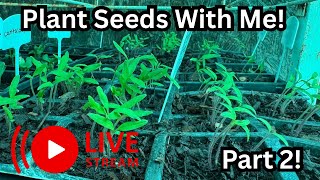 Start Seeds With Me… Part 2!