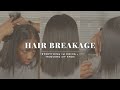 Hair breakage what to do  how to stop it  diy hair trim  niara alexis