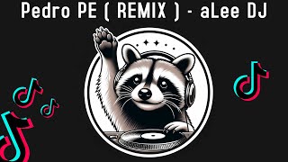 Pedro Pe ( Tiktok REMIX ) - Raffaella Carrà & aLee DJ