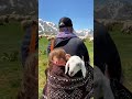 جبال تركيا