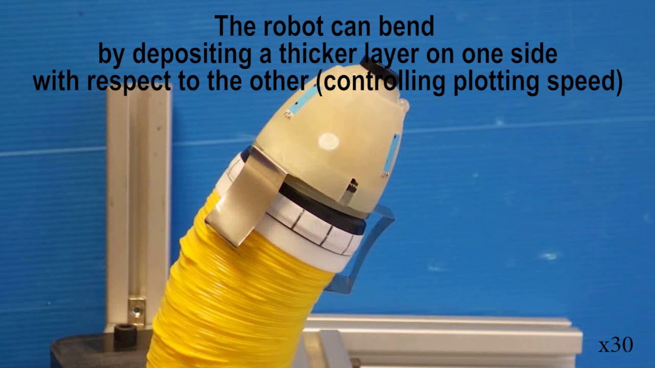 Selfgrowing Robots Inspired by Plants YouTube