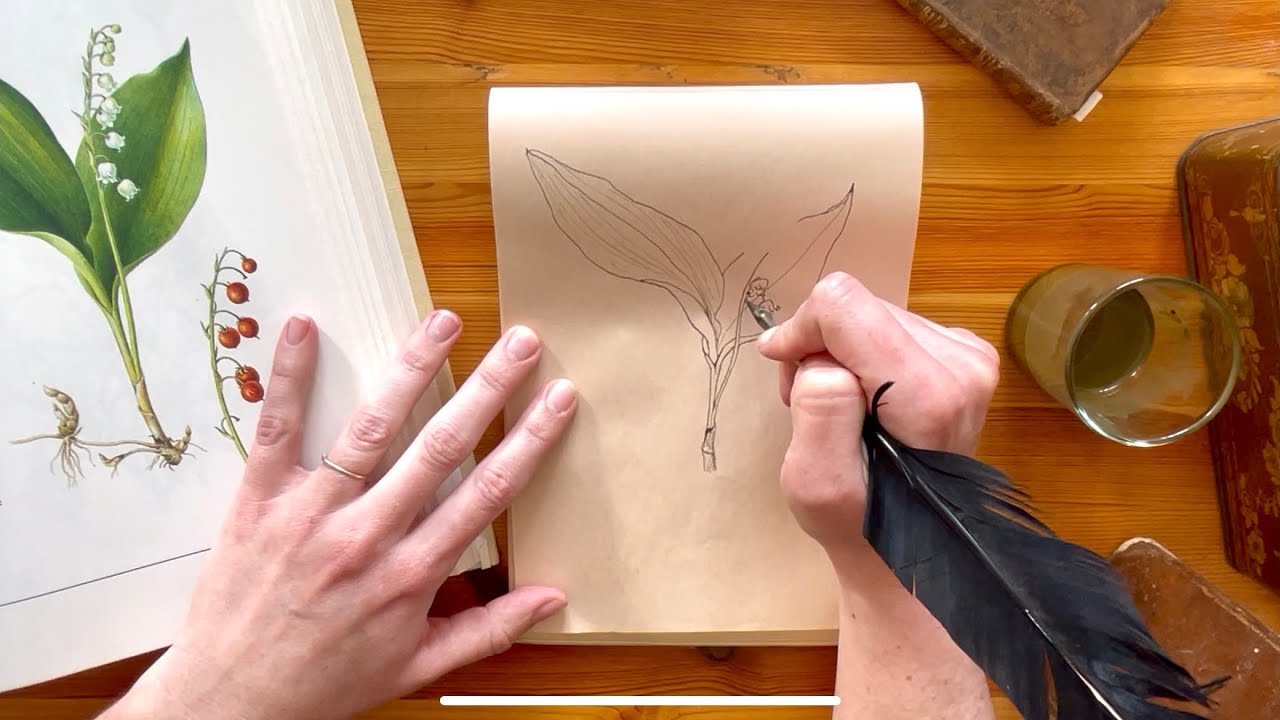 Drawing plants on a cosy afternoon | ASMR (french, soft spoken)