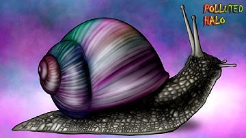 Psychedelic Snail | Drawing & Painting In Procreate