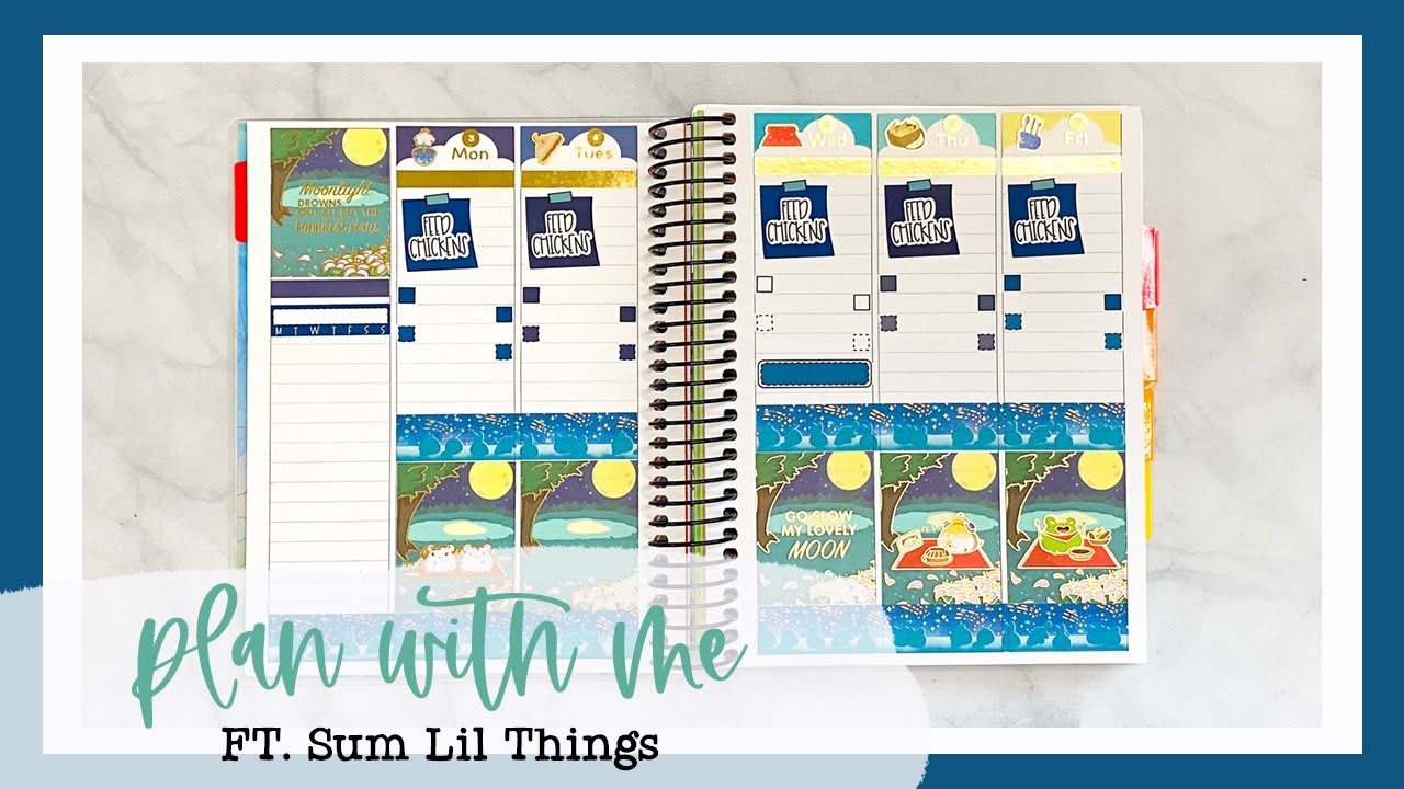 Plan With Me | Ft. Sum Lil Things
