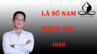 Lá số nam mệnh VCD 1989 | Tử Vi Nam Phái Lê Quang Lăng | Tử Vi Nam Phái Lê Quang Lăng
