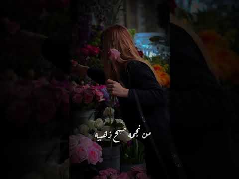 ماجدة الرومي من انت وسحر في عينيك عراق سورية اردن سعودية فلسطين 