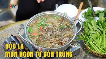 Độc lạ món ngon từ côn trùng | QUA MIỀN ẨM THỰC KHMER NAM BỘ