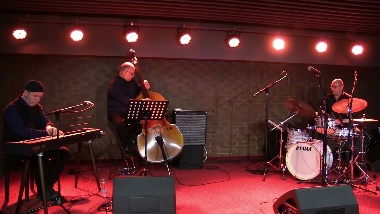 Mircea Tiberian Trio - Janus