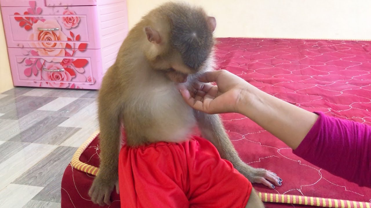 Jason So Lovable Embarrass To Look Reply With Mom Admire & Laughing