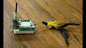 A 🐈  best toy ever.