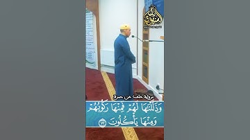 ”فلا يحزنك قولهم” برواية خلف عن حمزة || الشيخ بلال السنهوري
