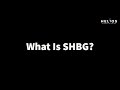 What is shbg  why is it important for men