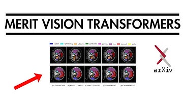 MERIT: Multi-scale Hierarchical Vision Transformer for Biomedical Imaging