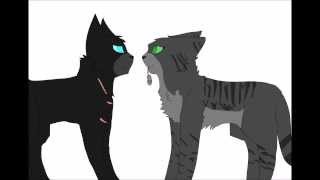 The Hottest in ShadowClan