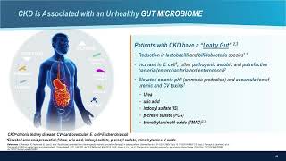 Exclusive The Gut–Kidney–Heart Connection: What Patients Can Do Beyond Medical Treatment Details