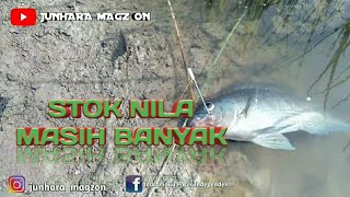 Ternyata Belum Banyak Yang Tau! (not many people know a secret) || #11[IPI]  #panennila #pasermania