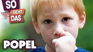 Wo Kommen Popel Her?