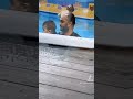 Swimming classes day out 💦 #swimming #baby #classes #swimmingclass