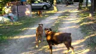 MOV00006-3.AVI