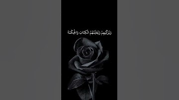 الشيخ محمد أيوب | سورة آل عمران | ÂL-i İmran suresi