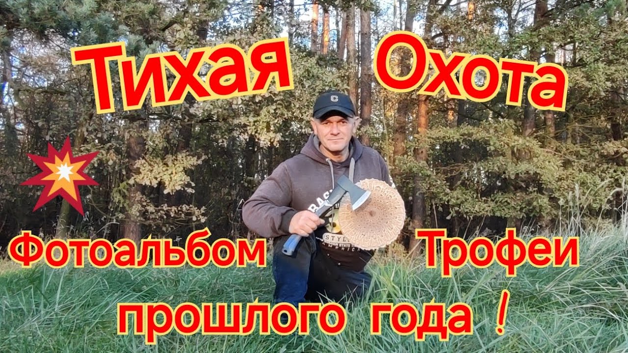 ГРИБНОЙ СЕЗОН ПРОШЁЛ. ОСТАЛОСЬ ХОРОШЕЕ ВОСПОМИНАНИЕ. СМОТРИТЕ ФОТОАЛЬБОМ.