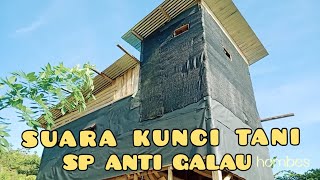 KUNCI TANI SP ANTI GALAU