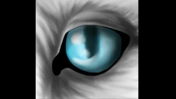 Missing [MAP Part 17]