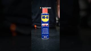 WD-40-Trick, den du nicht kanntest – Werkstatt-Tipp von AUTODOC