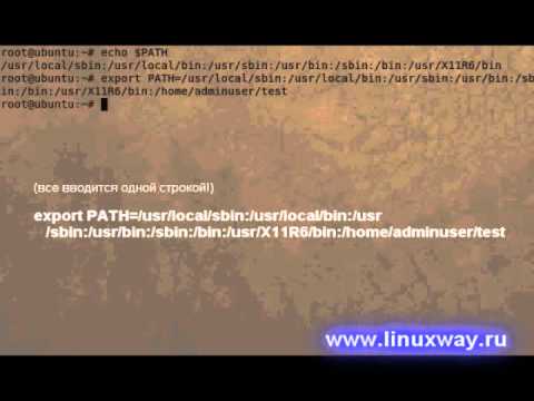 Уроки Linux Переменная PATH