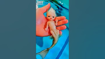 Before & After Animals Growing Up. Amazing Animal Transformation 💥 #short #tiktok #animals