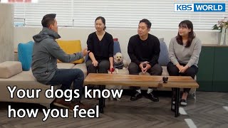 Your dogs know how you feel (Dogs are incredible EP.104-6) | KBS WORLD TV 211215