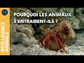 Symbiose : la clé de la survie sous-marine ! I IA