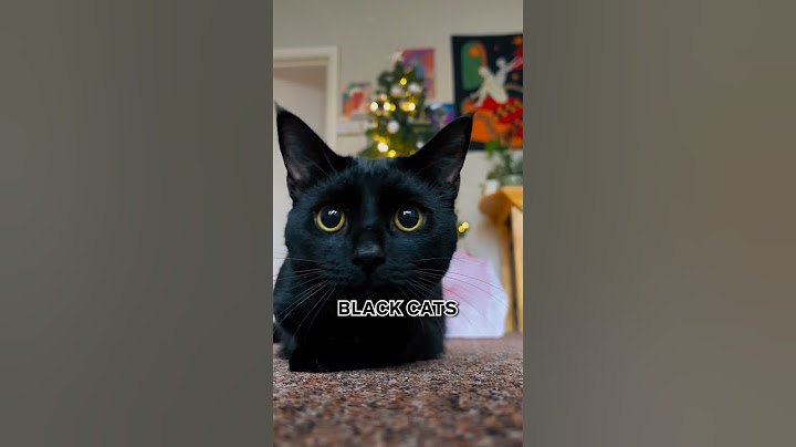 The Chaotic TRUTH Behind Every Cat Color 😹