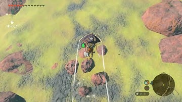 [DAY 480] of finding one korok seed in TotK everyday until we get them all