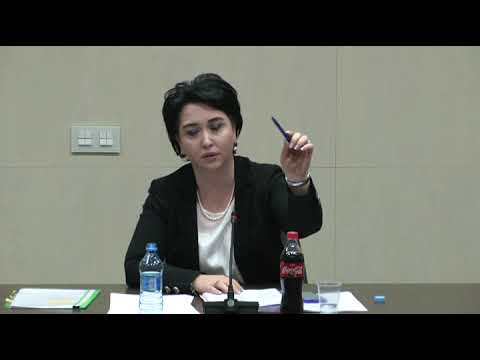 ეკა ბესელია სოფო კილაძეს - დაწყნარდი, შეგიძლია გაიარ-გამოიარო და შემდეგ შემოხვიდე