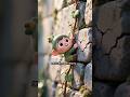 Heal from Past Relationship Trauma #Psychology #selfcare