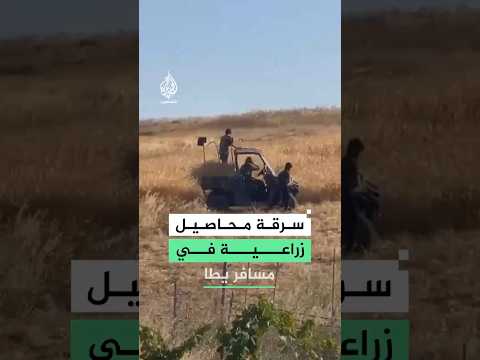 مستوطنون يسرقون محاصيل زراعية في منطقة بمسافر يطا جنوبي الخليل