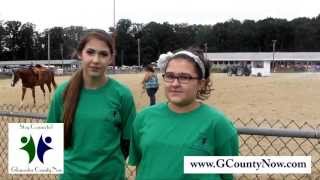 Gloucester County 4H Fair: 2013