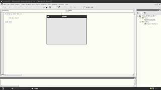 Famous Visual Basic 6 Tutorials 2013 - 4 Profile