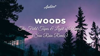 The Field Tapes \u0026 Light of Woods - Woods (Sun Rain Remix) [chill downtempo ambient]