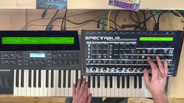 Jamuary #19 - Track from scratch on the Spectralis