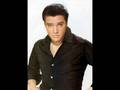 ElVIS PRESLEY-CRAZY LITLE THING CALLED LOVE